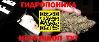 прущие грибы Дубна