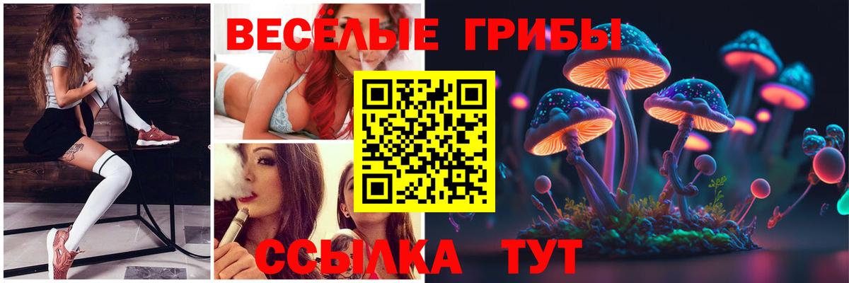 Псилоцибиновые грибы мухоморы  цена наркотик  Галлюциногенные грибы ЛСД  Кириши  Вход с VPN 