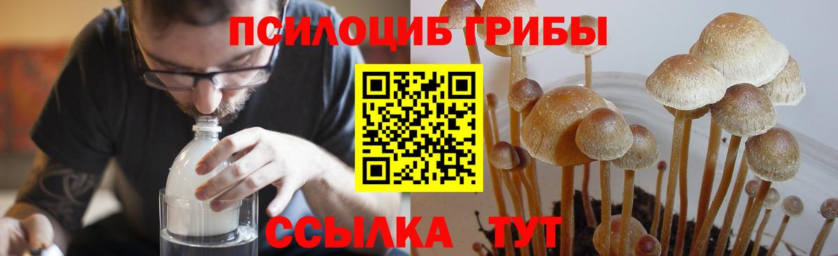 Галлюциногенные грибы Psilocybine cubensis Кириши